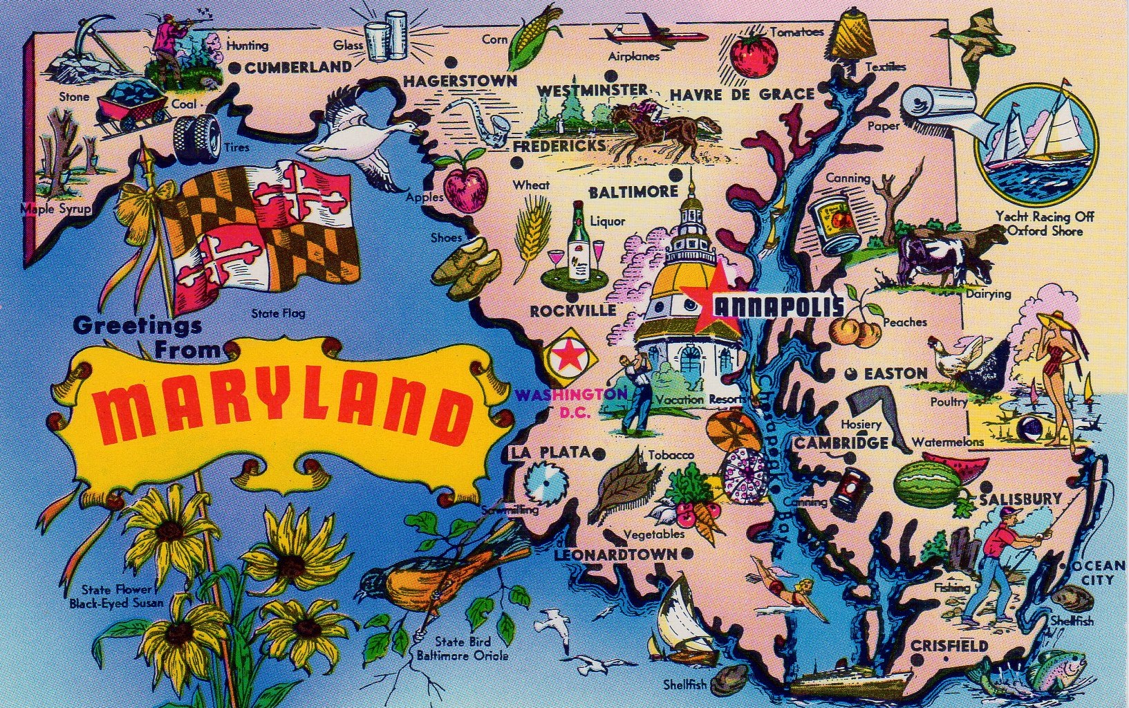 maryland-map905postcard2